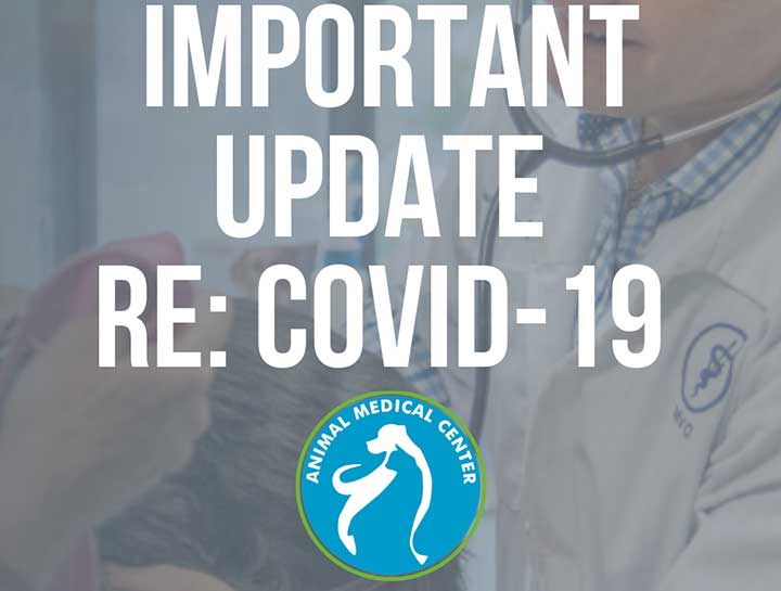 Covid-19 Curbside Care & Protocol